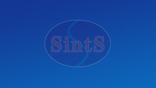 垃圾焚燒爐用特種復合剛